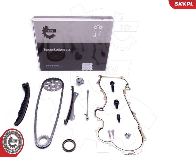Timing Chain Kit